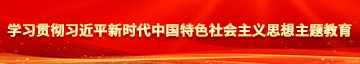 日小美女的逼学习贯彻习近平新时代中国特色社会主义思想主题教育